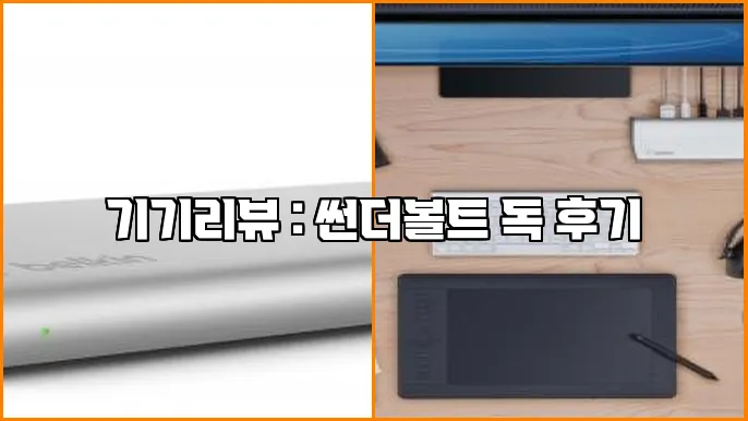 기기리뷰 : 썬더볼트 독 후기